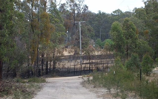 EDIT Bushfire damage panoramio