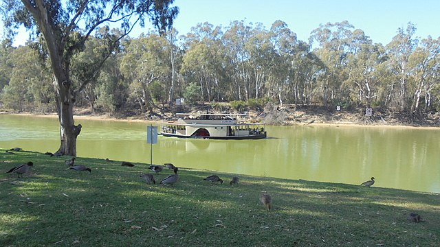 Paddle Steamer on Murray River